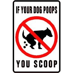 poop and scoop