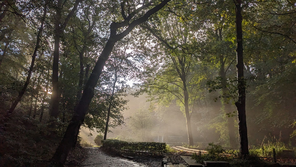 PXL_20231019_074116021