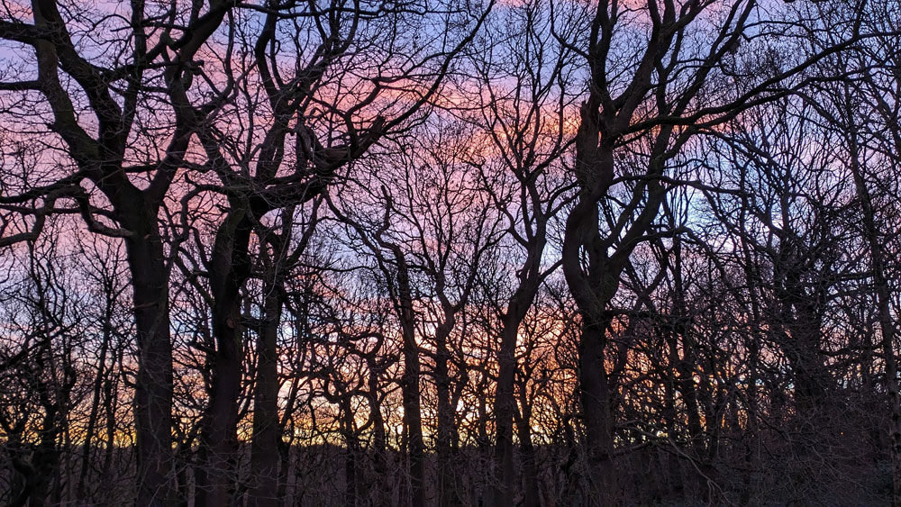 PXL_20231215_160332098