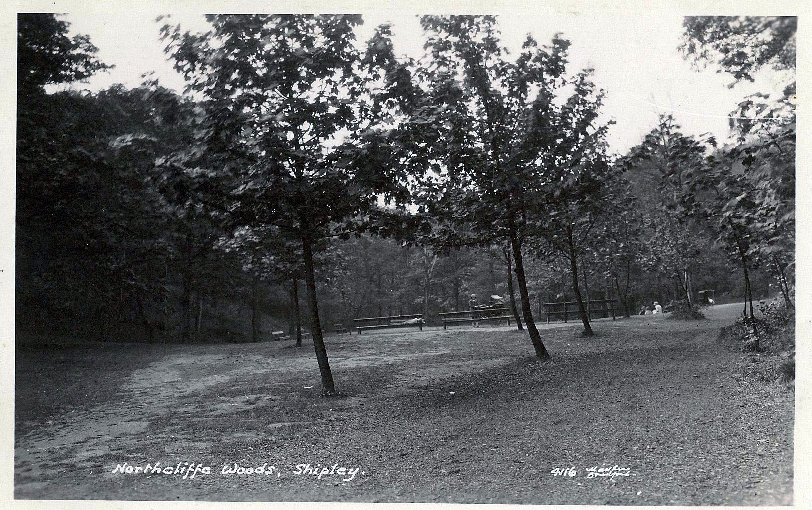 Area between the entrance and lower pond_