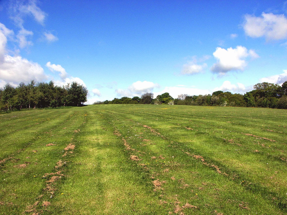 b-grassed-area-above-the-bowling-greens_51644266848_o