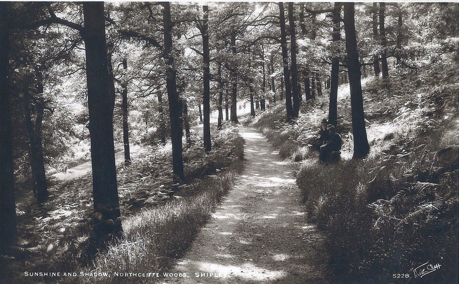 First path looking down