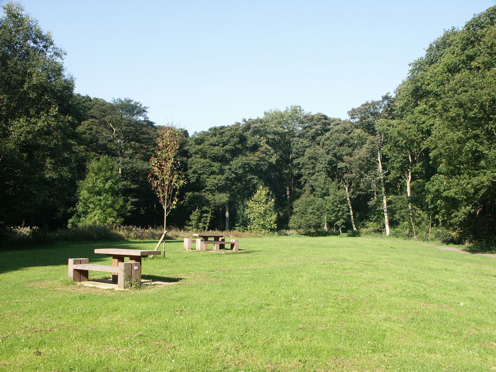 d-picnic-tables–taken-by-keith-scott_51639939111_o
