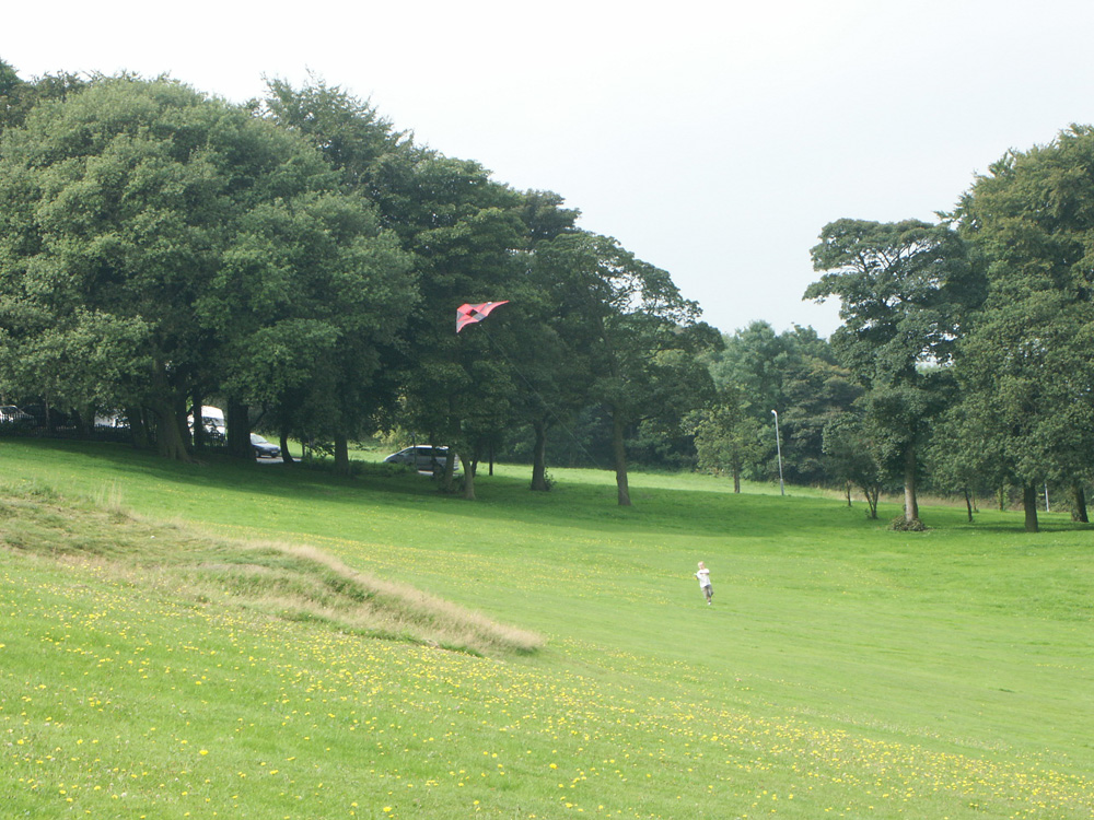 f-kite-flying–taken-by-keith-scott_9238487571_o
