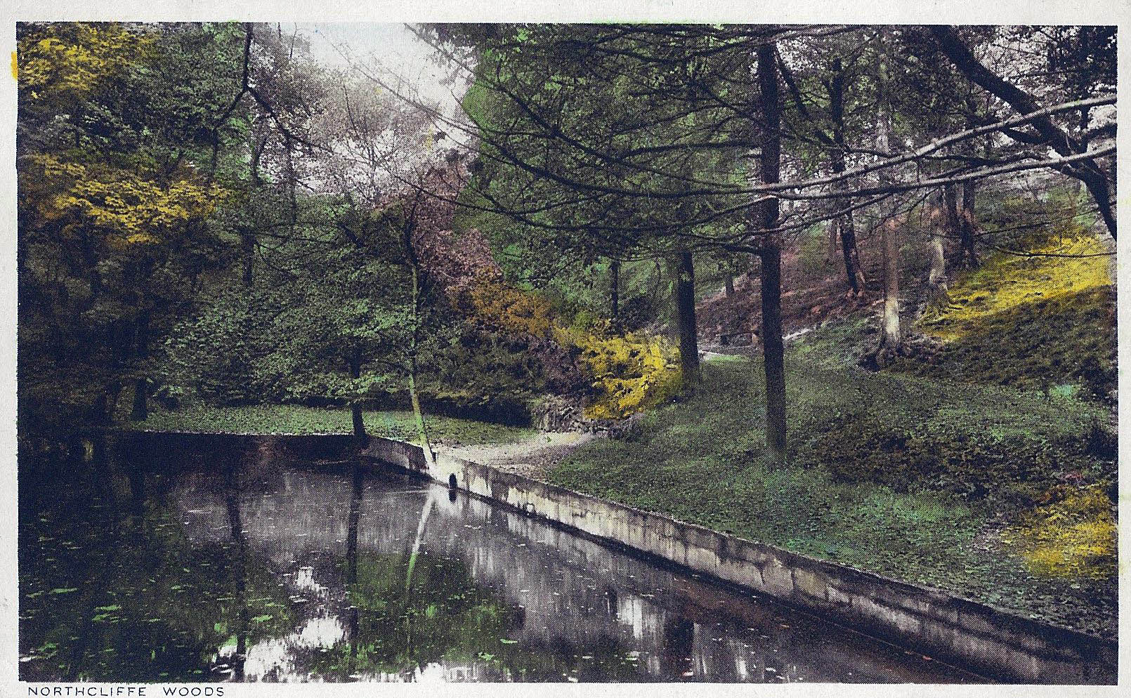 Pond from the far side