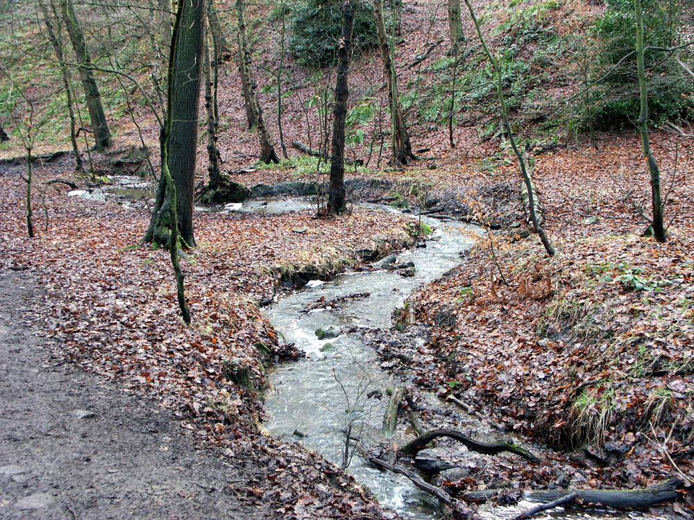 f-stream-below-the-pond–taken-by-keith-scott_51639939011_o