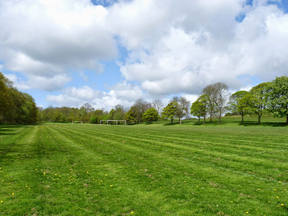 football-field-taken-by-keith-scott_51644266428_o