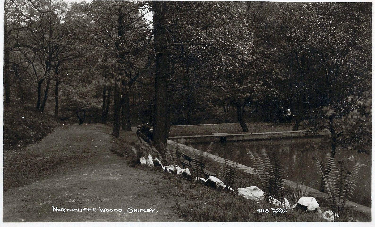 Pond from the path