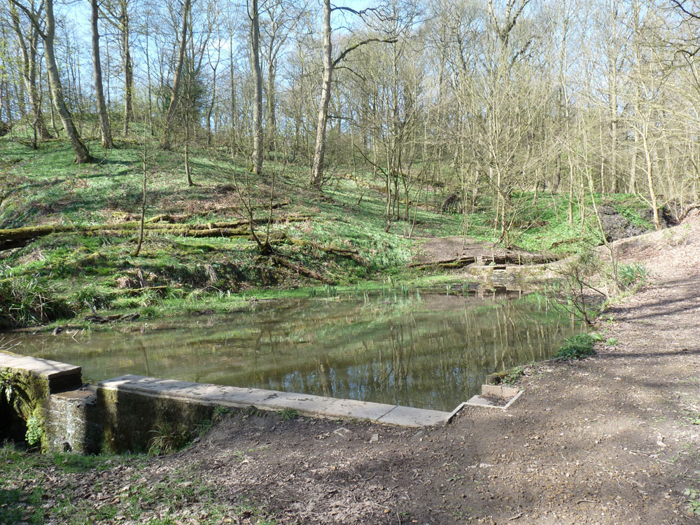 g-pond–taken-by-keith-scott_51639941606_o