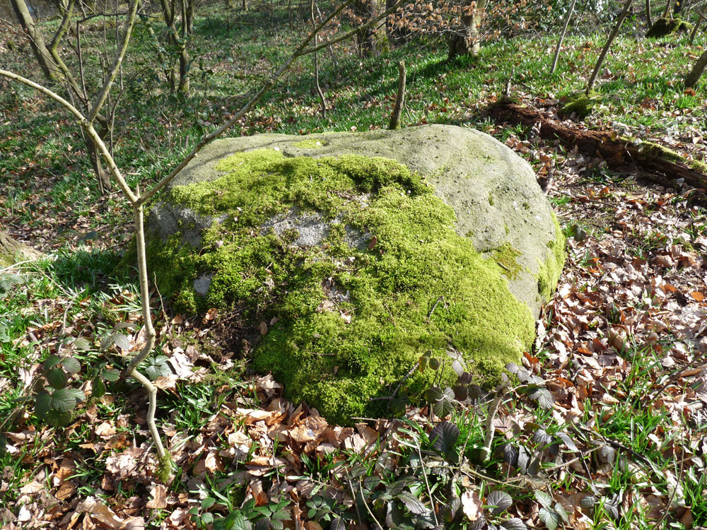 h-ring-stone–taken-by-keith-scott_51639114172_o