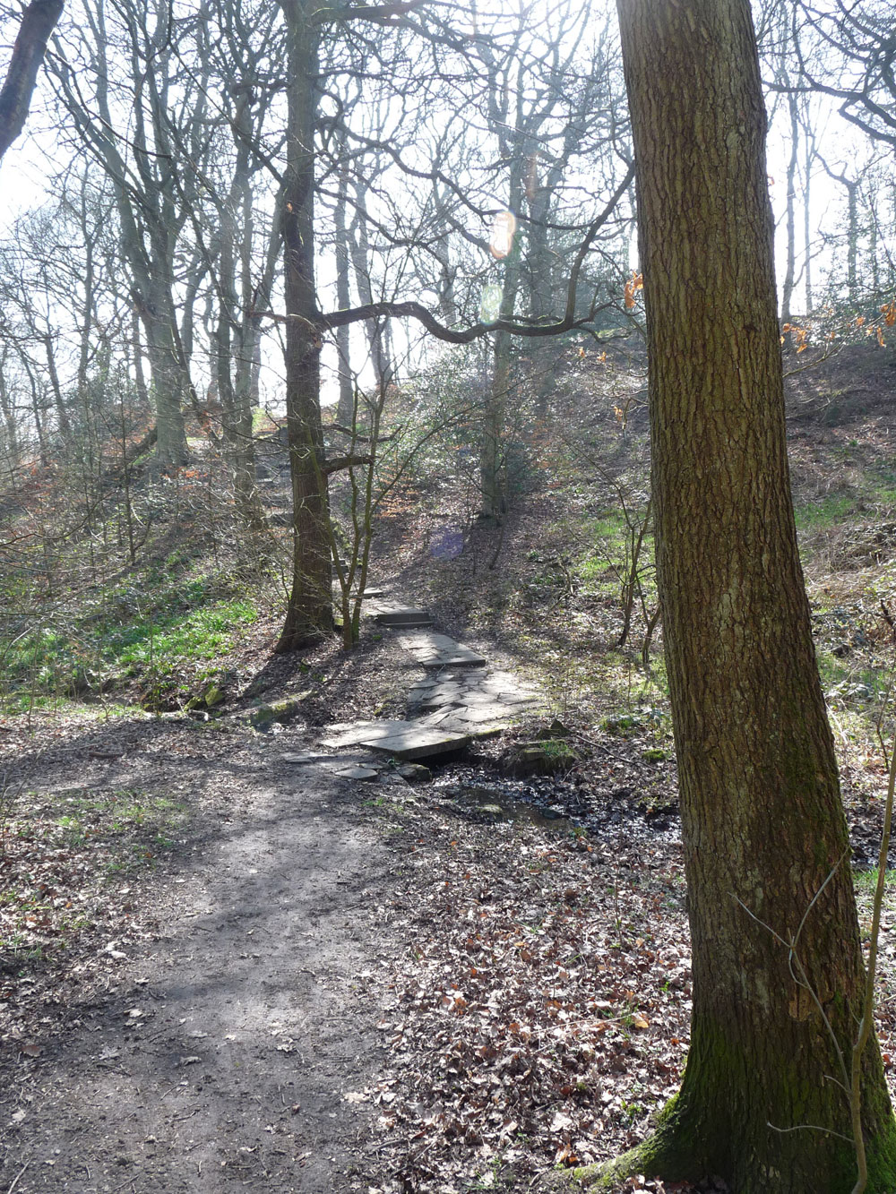 l-steps-up-to-path-across-the-golf-course-or-back-to-ring-stone-taken-by-keith-scott_51640154643_o