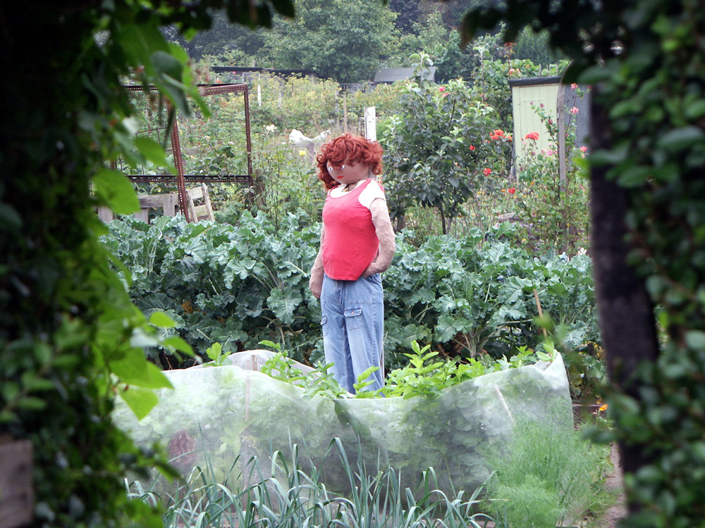 l-working-on-your-allotment–taken-by-keith-scott_9238529773_o