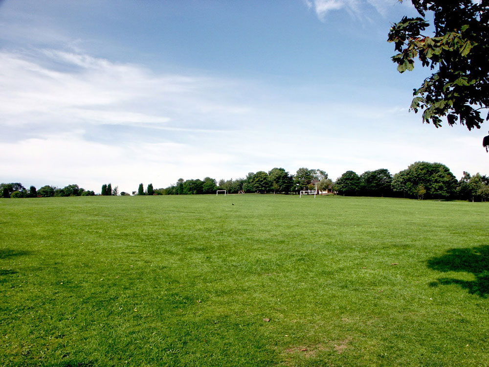 lower-meadow-taken-by-keith-scott_51644901235_o