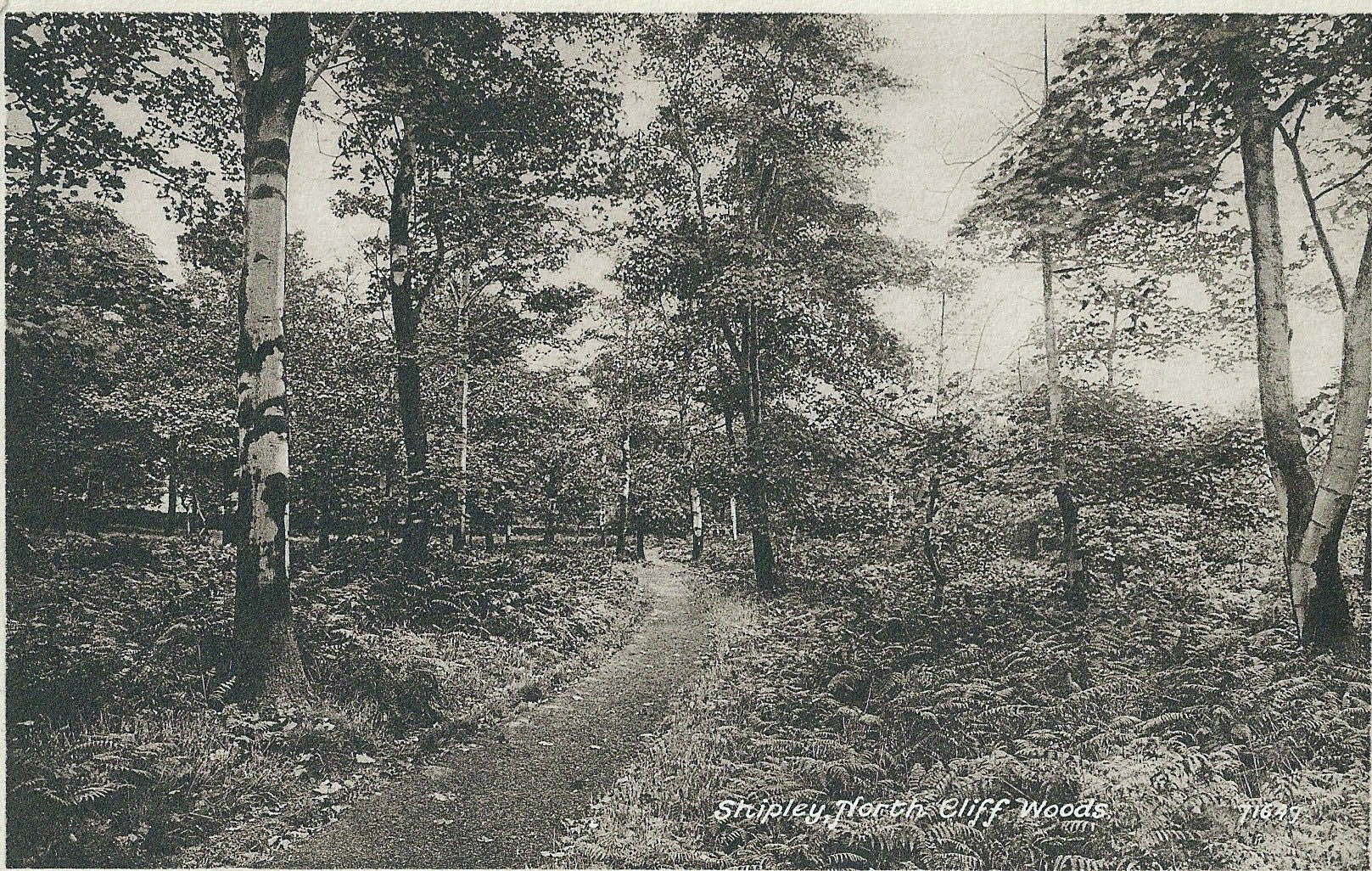 Upper Wood