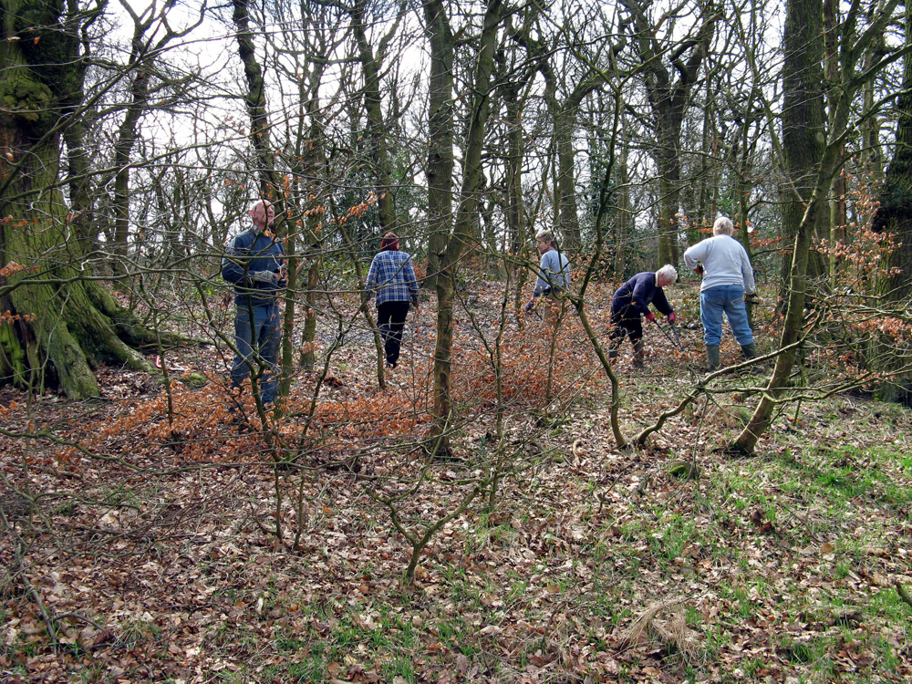 n-help-with-conservation-see-news–events-page-for-details-taken-by-keith-scott_9238506209_o
