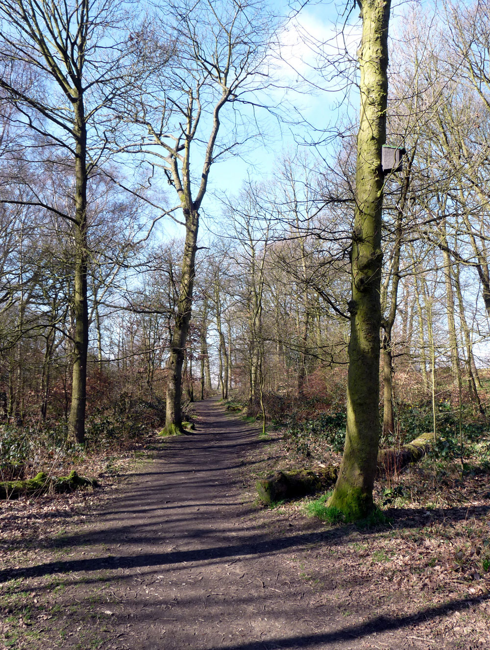 n-top-path-near-high-bank–taken-by-keith-scott_51639113592_o