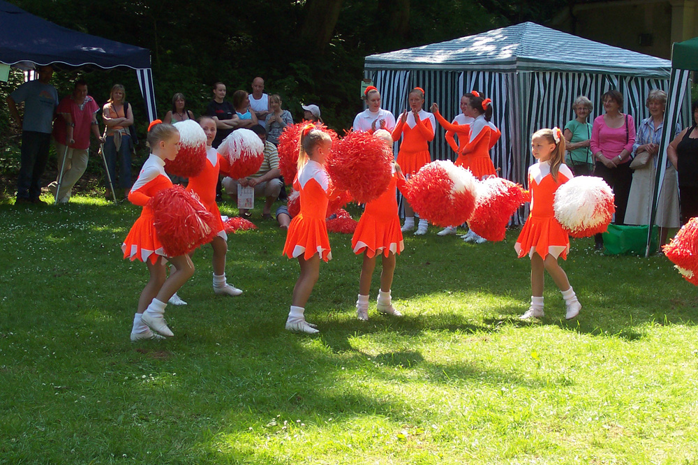 q-dancing-troupe-at-northcliffe-gala-taken-by-jenny-burnell_10908287755_o
