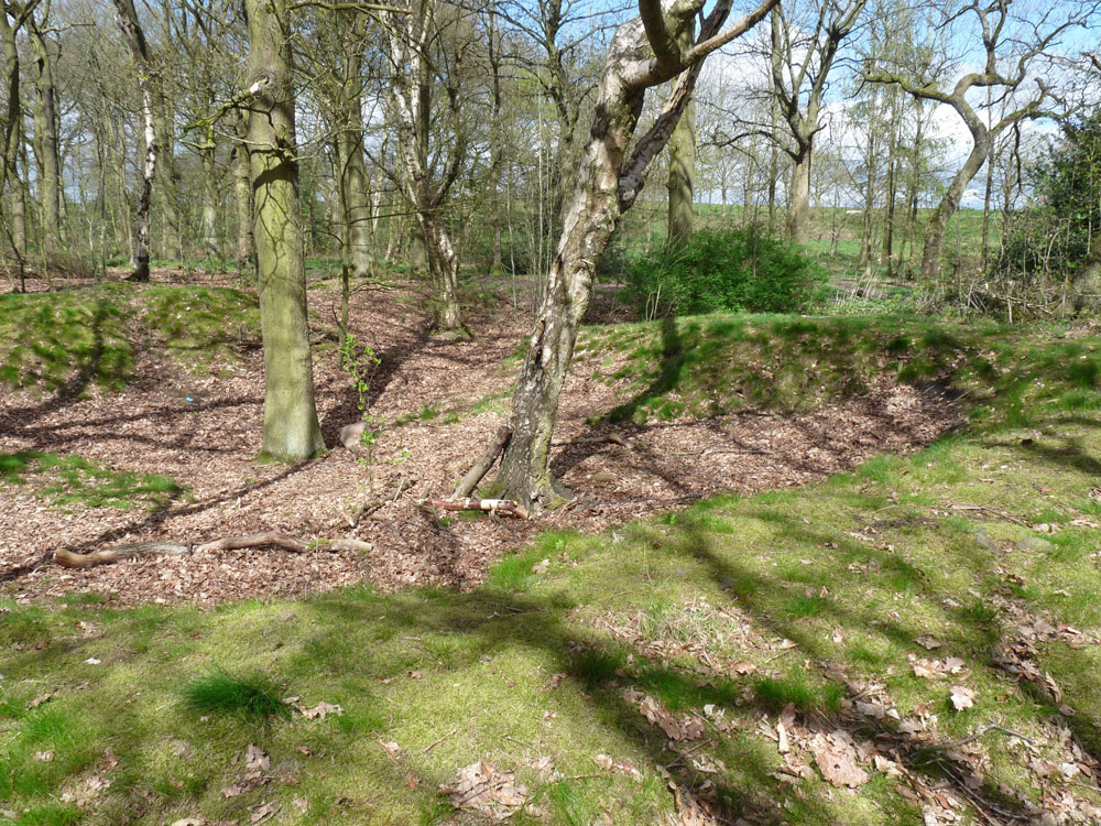 stone-exstraction-site_51640154213_o