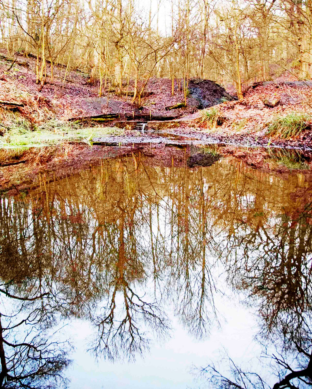 t-reflections-1-by-melanie-bruzzese_10908436794_o