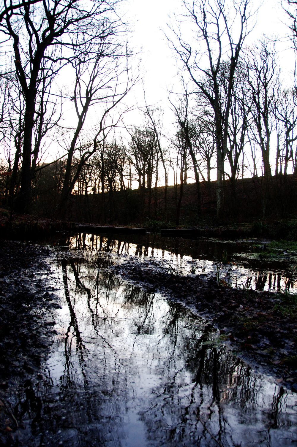 u-reflections-2_10908371696_o