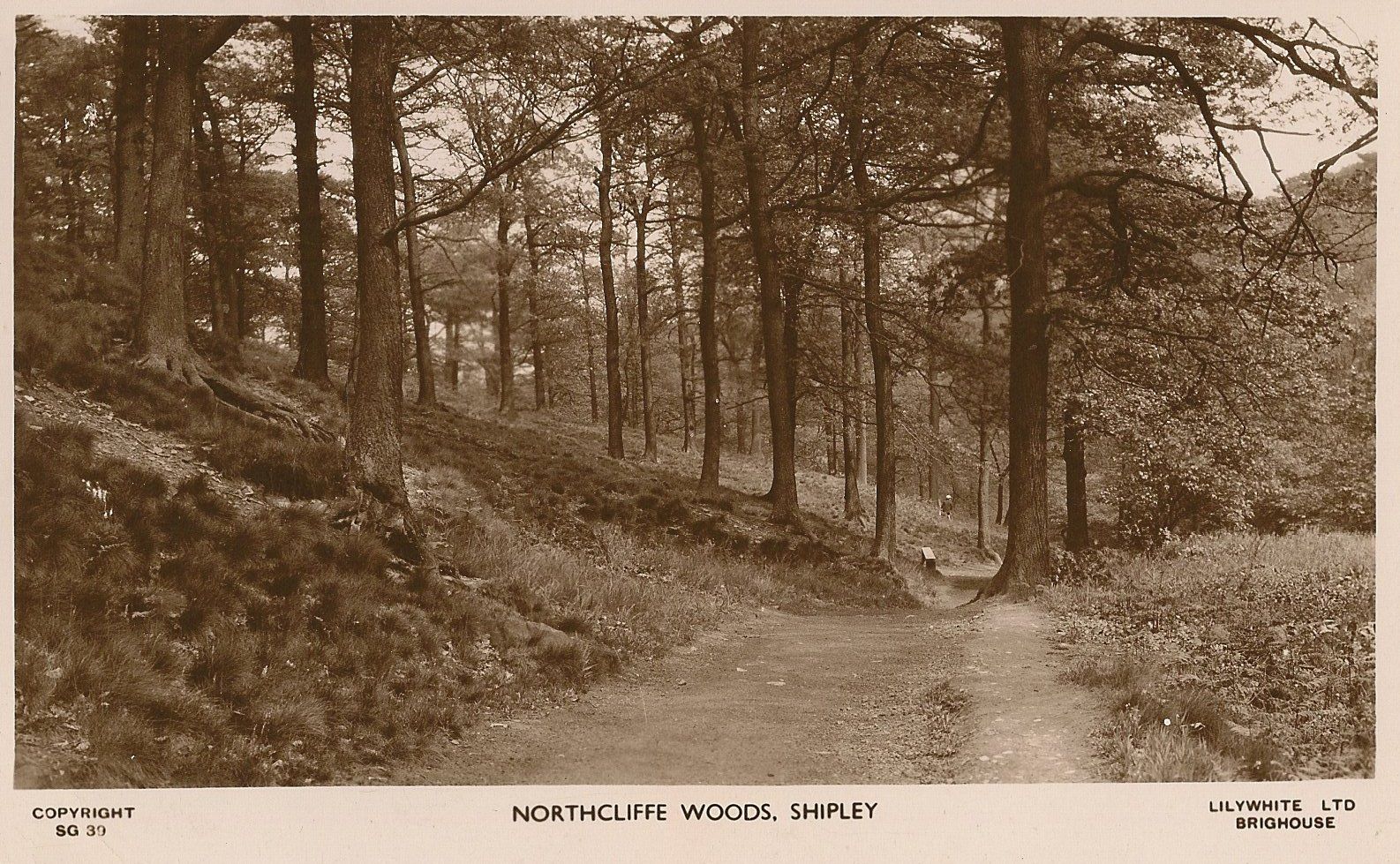 Woods