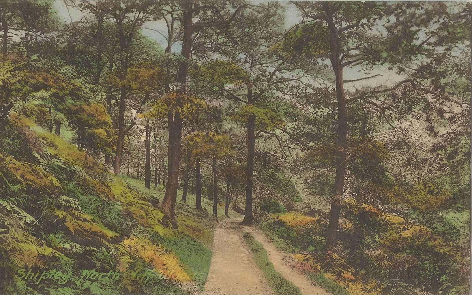 Woods