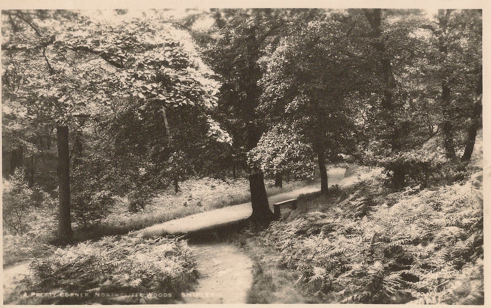 Woods