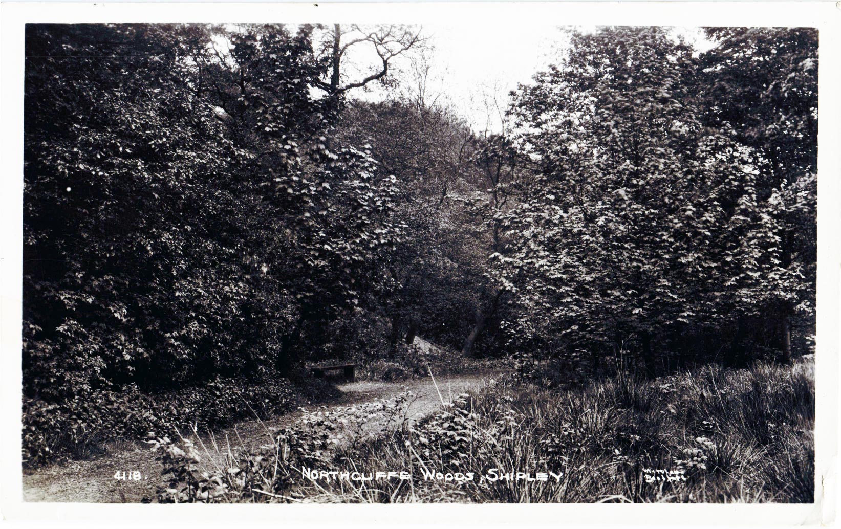 Northcliffe-Woods, 1955 From Dan Tal